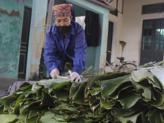 Ảnh bìa bài viết 806044