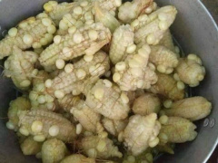 Ảnh bìa bài viết 806274