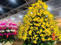 Ảnh bìa bài viết 806711