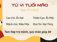 Ảnh bìa bài viết 806672