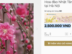 Ảnh bìa bài viết 807184