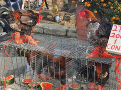 Ảnh bìa bài viết 807069