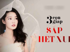 Ảnh bìa bài viết 807132