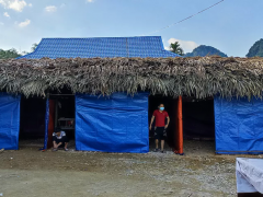 Ảnh bìa bài viết 807087