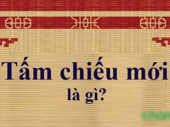 Ảnh bìa bài viết 807273