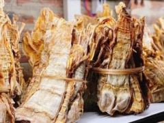 Ảnh bìa bài viết 807529