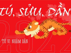 Ảnh bìa bài viết 807483