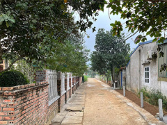 Ảnh bìa bài viết 807758