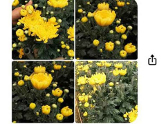 Ảnh bìa bài viết 807779