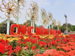 Ảnh bìa bài viết 807841