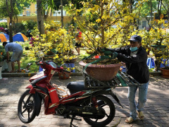Ảnh bìa bài viết 807946
