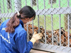 Ảnh bìa bài viết 807956