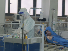 Ảnh bìa bài viết 808222