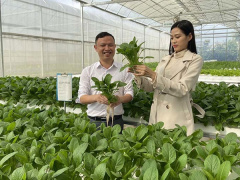 Ảnh bìa bài viết 808250