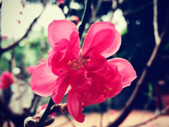Ảnh bìa bài viết 808278