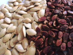 Ảnh bìa bài viết 808348