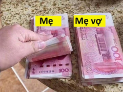 Ảnh bìa bài viết 808359