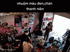 Ảnh bìa bài viết 808446