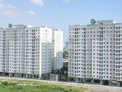 Ảnh bìa bài viết 808554