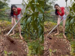 Ảnh bìa bài viết 809060