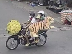 Ảnh bìa bài viết 809033