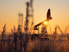 Ảnh bìa bài viết 809461