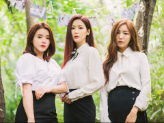 Ảnh bìa bài viết 809539