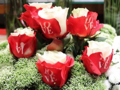Ảnh bìa bài viết 809675