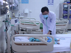 Ảnh bìa bài viết 810065