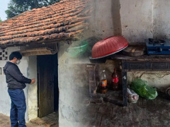 Ảnh bìa bài viết 810244