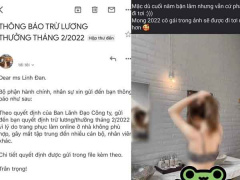 Ảnh bìa bài viết 810354