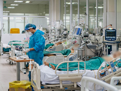 Ảnh bìa bài viết 810409