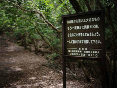 Ảnh bìa bài viết 810406