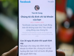 Ảnh bìa bài viết 810480