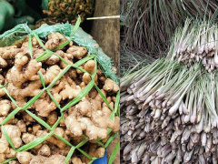 Ảnh bìa bài viết 811235