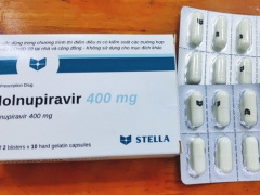 Ảnh bìa bài viết 811490