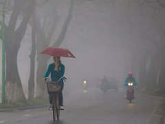 Ảnh bìa bài viết 811467