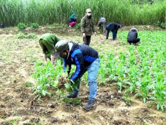 Ảnh bìa bài viết 811385