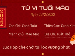 Ảnh bìa bài viết 811507