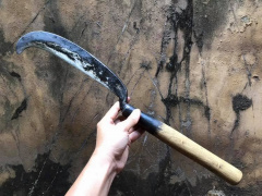 Ảnh bìa bài viết 811763