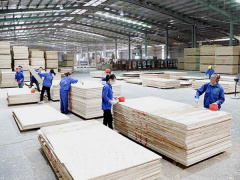 Ảnh bìa bài viết 811678