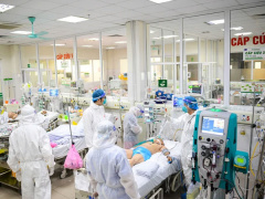 Ảnh bìa bài viết 811983
