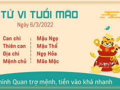Ảnh bìa bài viết 812705