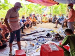 Ảnh bìa bài viết 812841