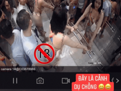 Ảnh bìa bài viết 812970