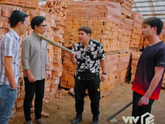 Ảnh bìa bài viết 813401