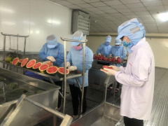 Ảnh bìa bài viết 813665