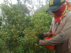 Ảnh bìa bài viết 813697