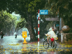 Ảnh bìa bài viết 813964