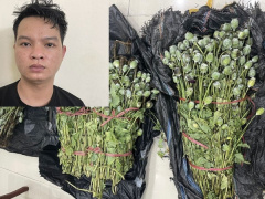 Ảnh bìa bài viết 814421